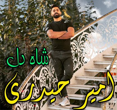 امیر حیدری شاه دل